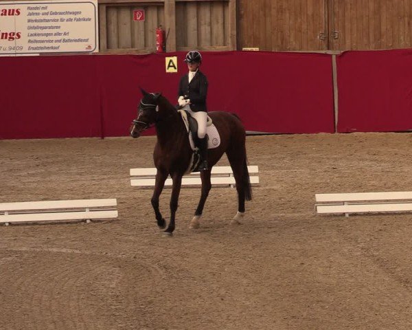 Reitturnier Krumke 2025