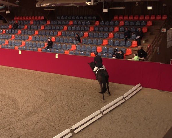 Reitturnier Krumke 2025