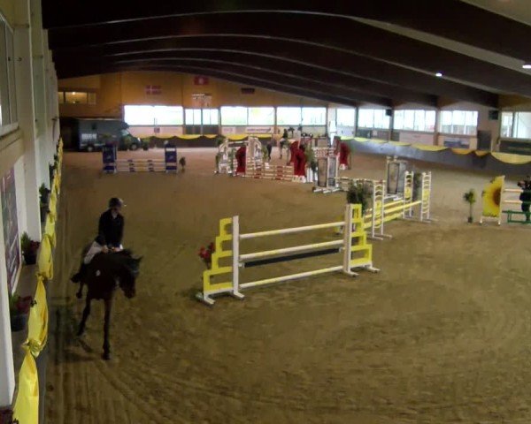 Reitturnier Boll 2025