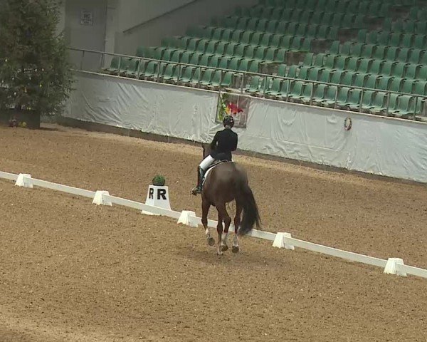 Reitturnier Kreuth 2025
