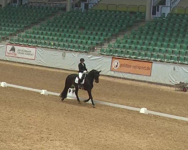 Reitturnier Kreuth 2025