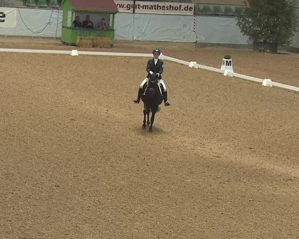 Reitturnier Kreuth 2025