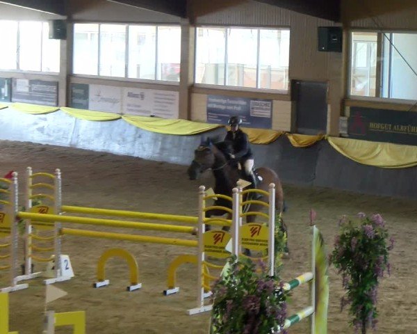 Reitturnier Boll 2025