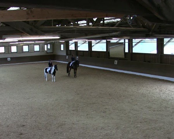 Reitturnier Poggersdorf 2025