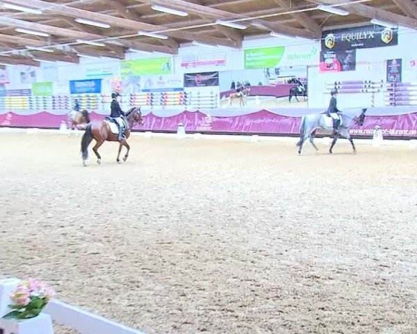 Reitturnier Eicherloh 2025