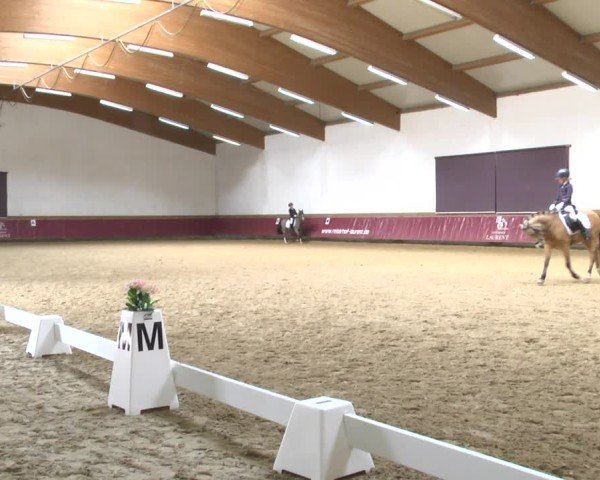 Reitturnier Eicherloh 2025