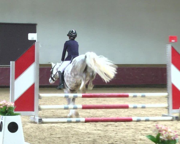 Reitturnier Eicherloh 2025