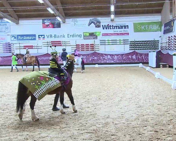 Reitturnier Eicherloh 2025