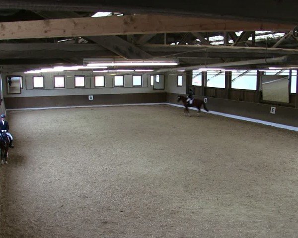 Reitturnier Poggersdorf 2025
