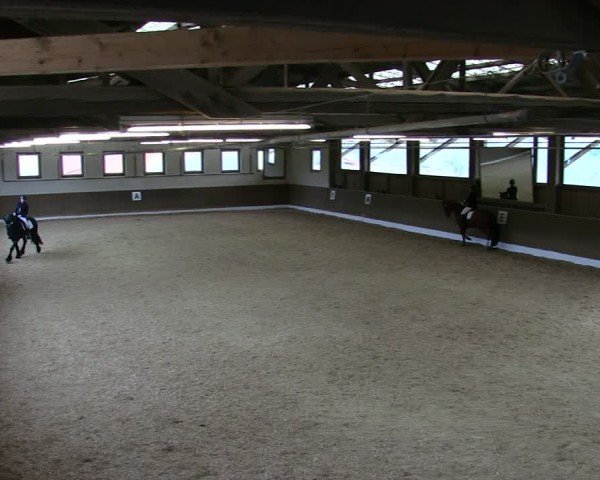 Reitturnier Poggersdorf 2025