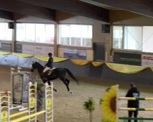 Reitturnier Sauldorf 2025