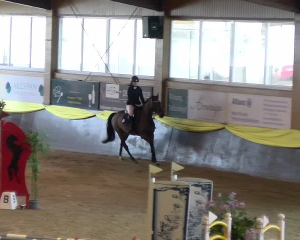 Reitturnier Sauldorf 2025