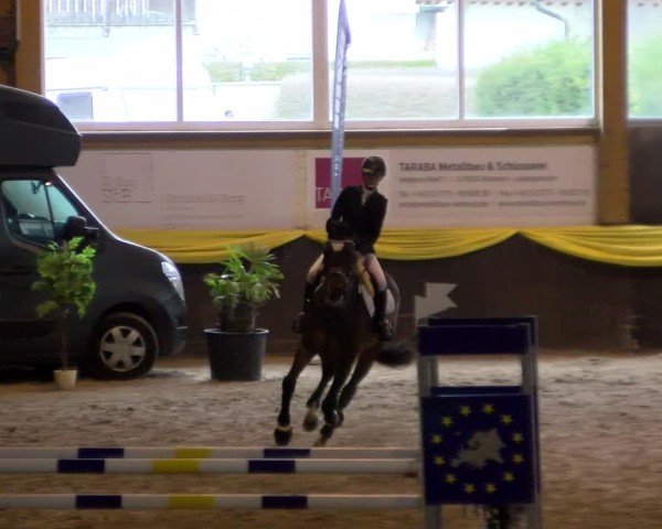 Reitturnier Sauldorf 2025