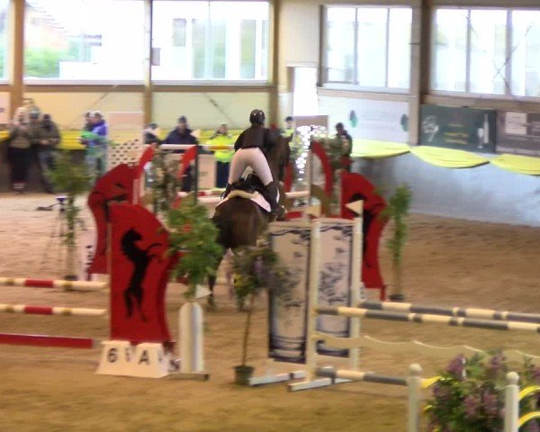 Reitturnier Sauldorf 2025