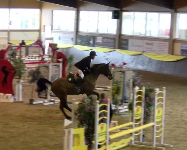 Reitturnier Sauldorf 2025