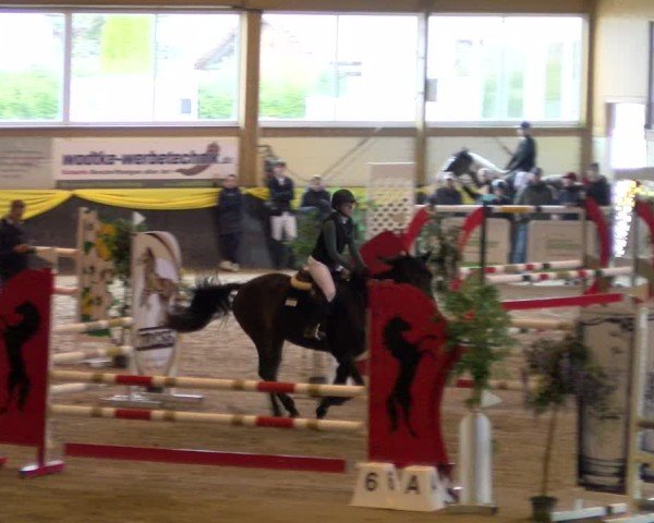 Reitturnier Sauldorf 2025