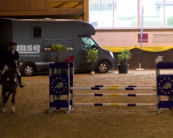 Reitturnier Sauldorf 2025