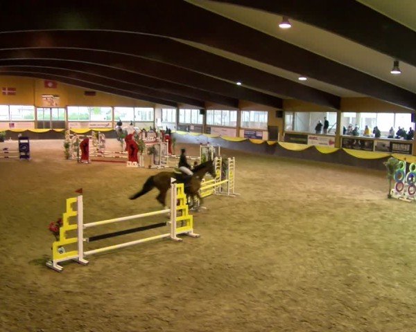 Reitturnier Sauldorf 2025
