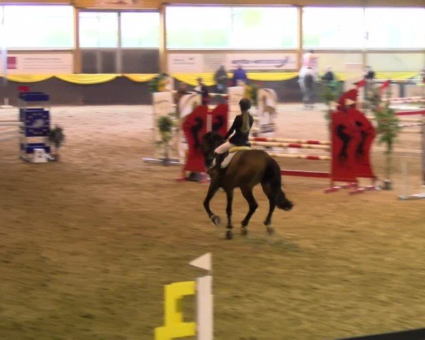 Reitturnier Sauldorf 2025