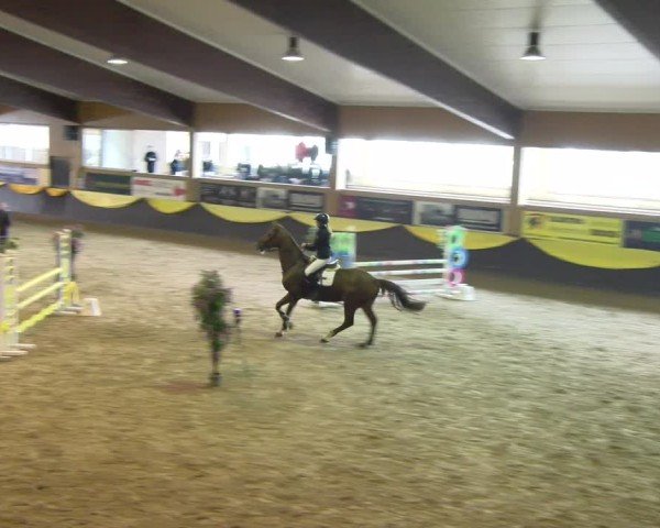 Reitturnier Sauldorf 2025