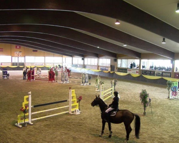 Reitturnier Sauldorf 2025