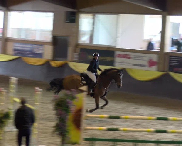 Reitturnier Sauldorf 2025