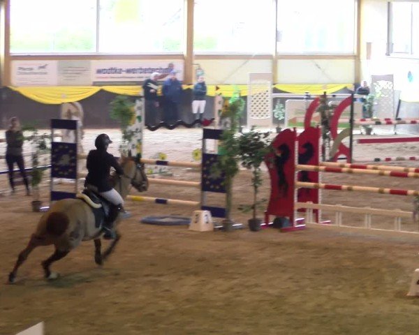 Reitturnier Sauldorf 2025
