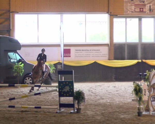 Reitturnier Sauldorf 2025