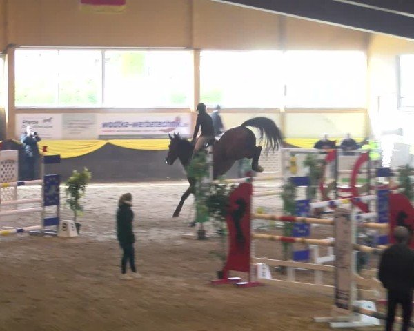 Reitturnier Sauldorf 2025
