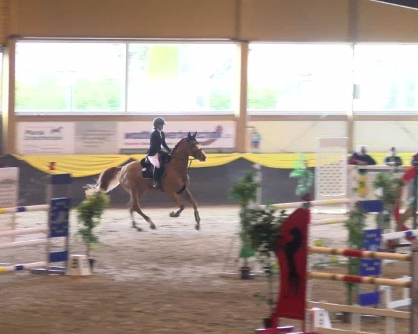 Reitturnier Sauldorf 2025
