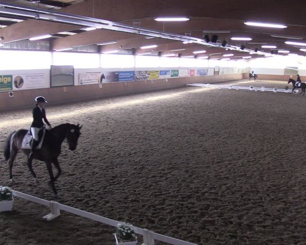 Reitturnier Hildesheim-Steuerwald 2025