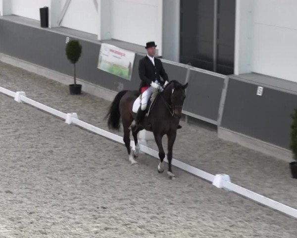 Dressurturnier auf dem Abtshof 2013