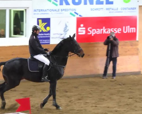 Late-Entry Langenau 2013