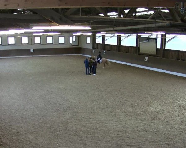 Reitturnier Poggersdorf 2025