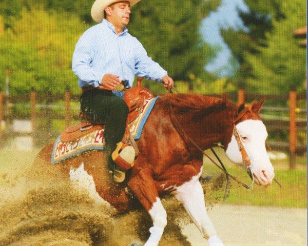 stallion One Gun (Paint Horse, 2001, from Colonels Smoking Gun)