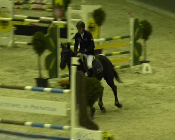 Springturnier auf dem Abtshof 2013