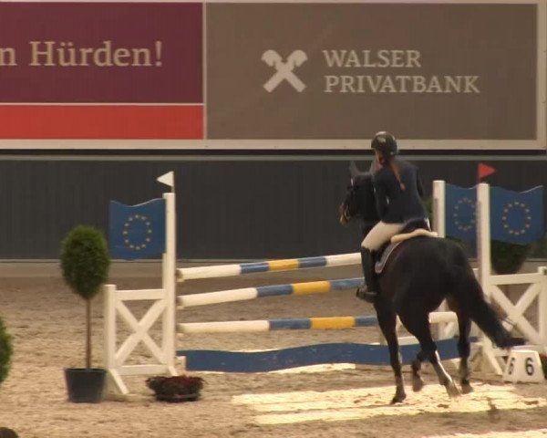 Springturnier auf dem Abtshof 2013