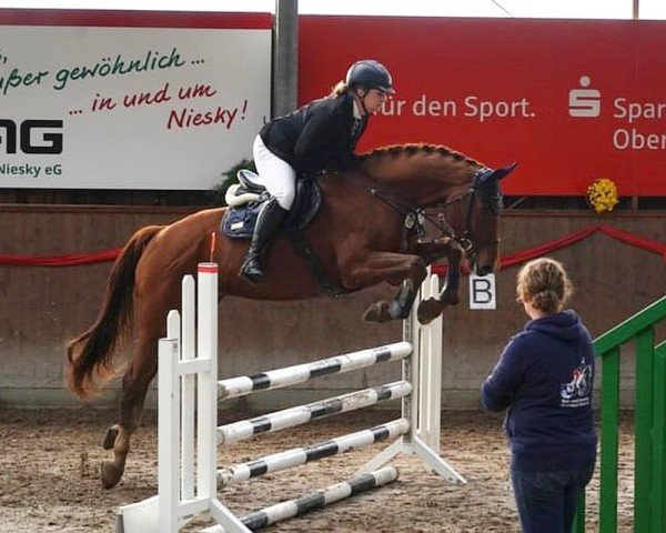 Springpferd La Duevall (Deutsches Sportpferd, 2017, von Lahnstein 4)
