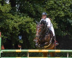 jumper Sanssouci 94 (Württemberger, 2006, from Stakkato)