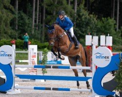 jumper Qerim (Hanoverian, 2016, from Qualito)