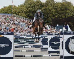 jumper Independent (Swedish Warmblood, 2011, from Diamant de Revel)
