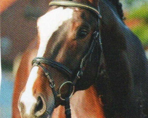 horse Einer wie Keiner 4 (Zweibrücken, 2006, from Elan d' Espoir)