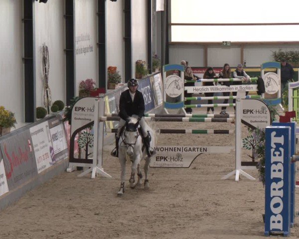 Reitturnier Borken (Hessen) 2025