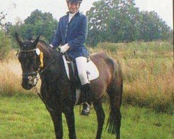 jumper Santana 610 (German Riding Pony, 1999, from Top November Rain)