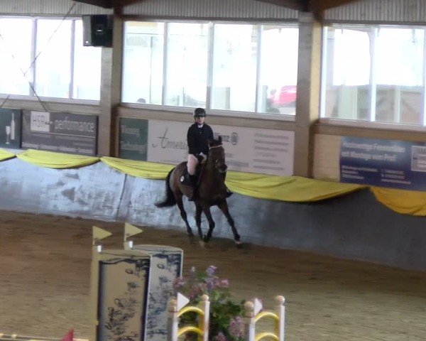 Reitturnier Sauldorf 2025