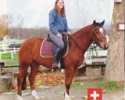 jumper Larette 3 (Freiberger, 2005, from Lasting CH)