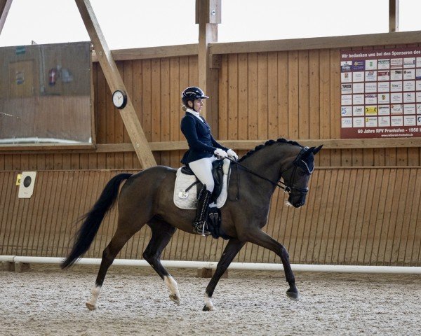 dressage horse Elegant Air (German Sport Horse, 2019, from Harmony's Eclectisch)