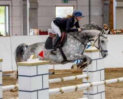 jumper Calypso's Courage (German Sport Horse, 2016, from Ciacomini)
