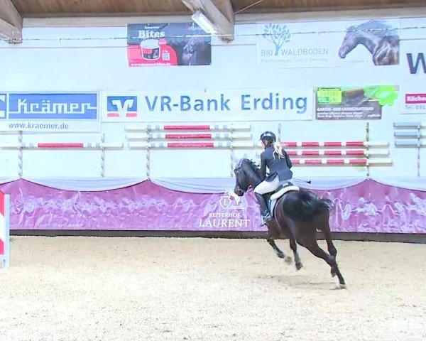 Reitturnier Eicherloh 2025
