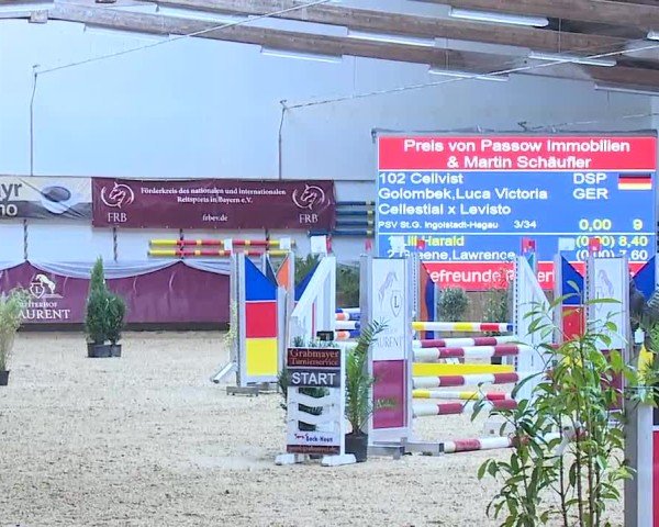 Reitturnier Eicherloh 2025